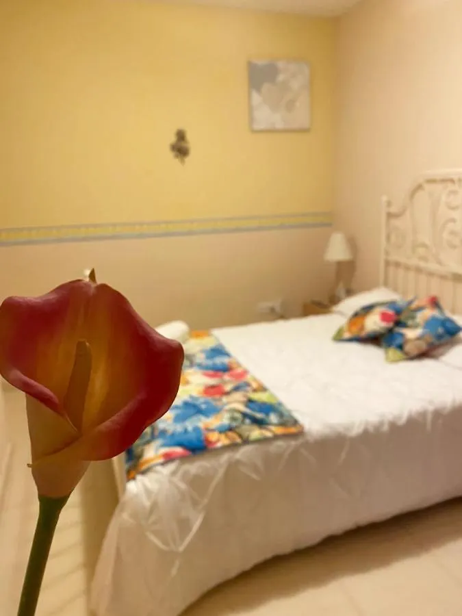 Palast Stieg Jerez de la Frontera Homestay